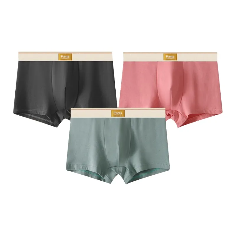 Close fitting Areas Underpants Men's 3 Pack-2