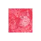 Coral Pink