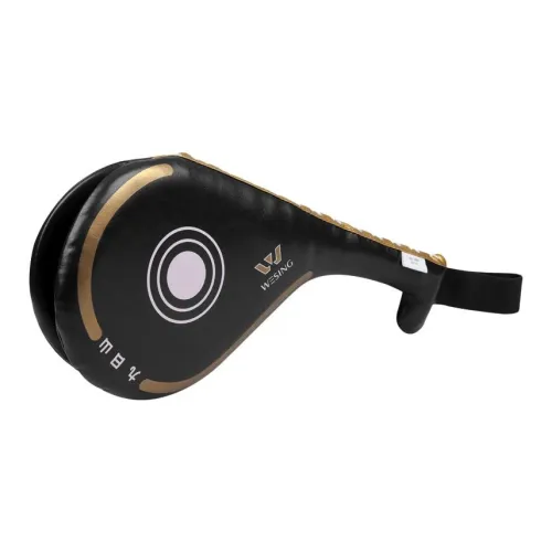 Musical Instruments & Accessories