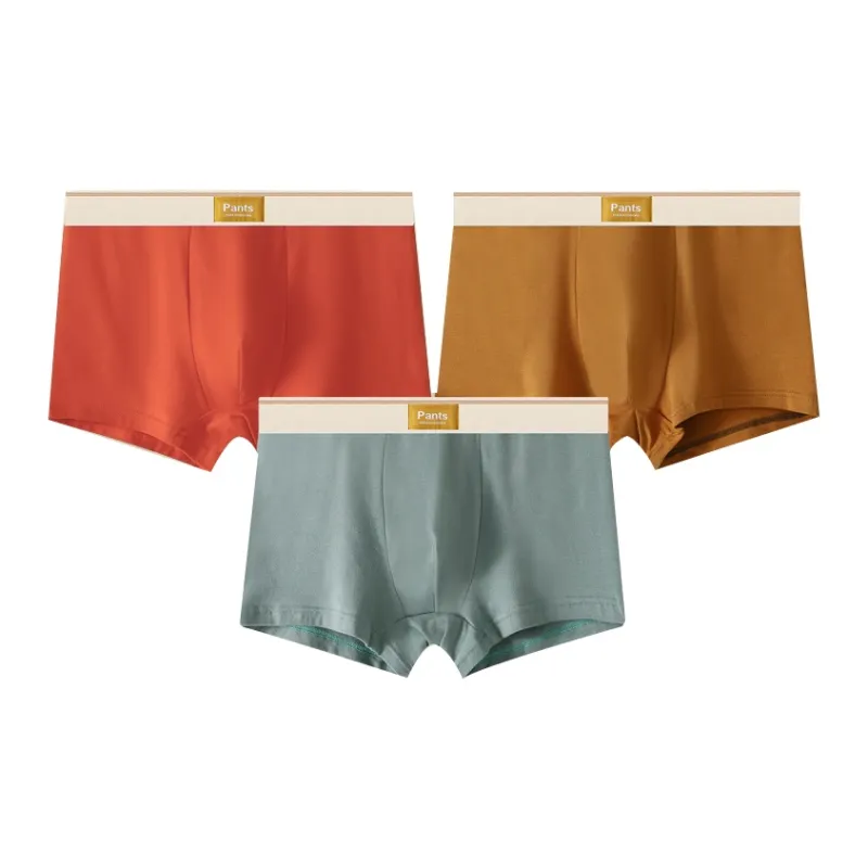 Close fitting Areas Underpants Men's 3 Pack-4