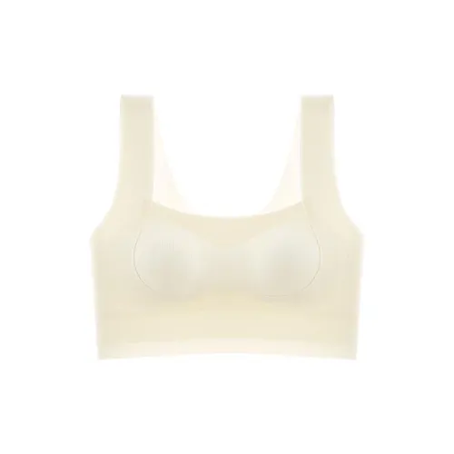 2323 Women's Bras