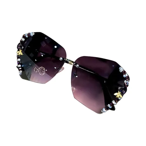 VINEY Sunglasses Women's Purple