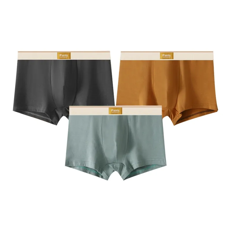 Close fitting Areas Underpants Men's 3 Pack-1