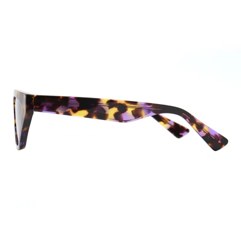 Pair Ponyo Plate Frame Irregular Shape Sunglasses Unisex Tortoiseshell-5