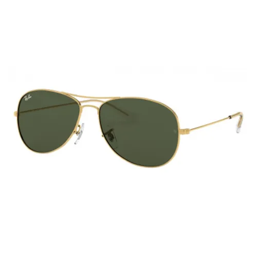 RayBan Aviator Ii Oversized Sunglasses