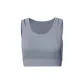 Rhinoceros Gray