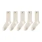 5 Pack (White)