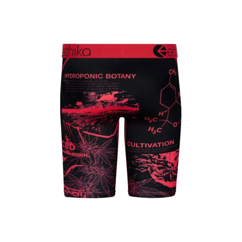 ETHIKA Underpants Men's 1 Pack Red-1