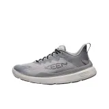 Alloy Gray