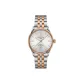 Silver Dial
