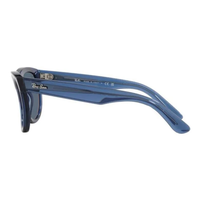 Ray Ban Wayfarer Reverse Sunglasses-2