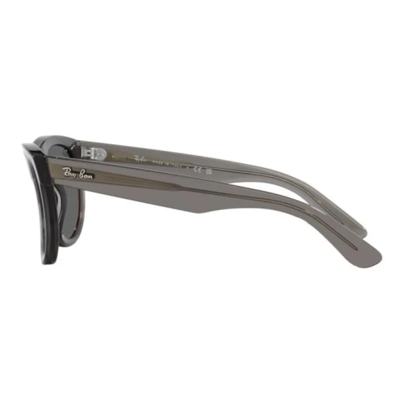 RayBan Wayfarer Reverse Sunglasses-5