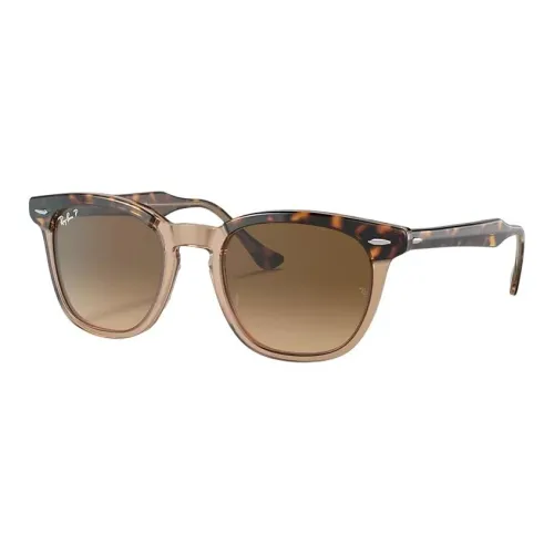 RayBan Acetate Browline Sunglasses Unisex Tortoiseshell