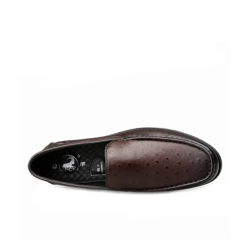 BECK Dress Shoes Men Low Top Brown-8