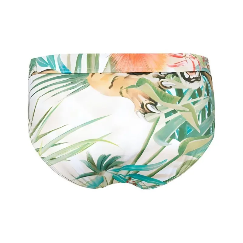 Roberto Cavalli RC patch Tiger print Swiming Trunks-1