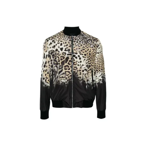 Roberto Cavalli Tiger Tooth-detailed Leopard-print Bomber Jacket