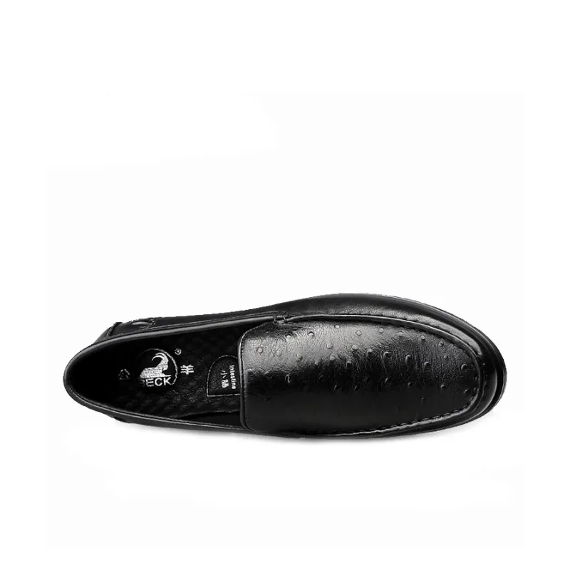 BECK Dress Shoes Men Low Top Brown-3