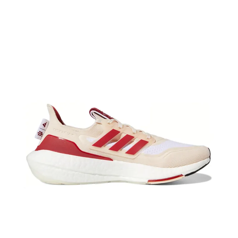 Adidas Ultra Boost 21 Indiana-1