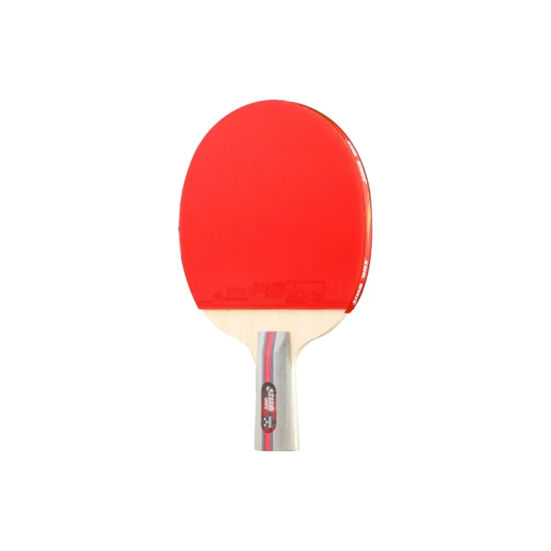DHS Ping Pong Paddles-1