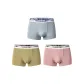 Light Gray+Ginger Yellow+Coral Pink