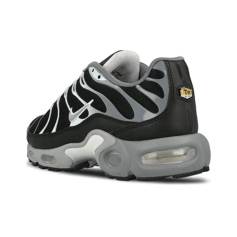 Nike Air Max Plus Cool Grey Wolf Grey-2