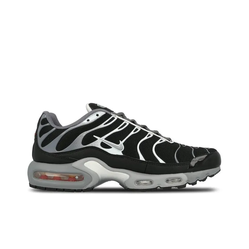 Nike Air Max Plus Cool Grey Wolf Grey-1