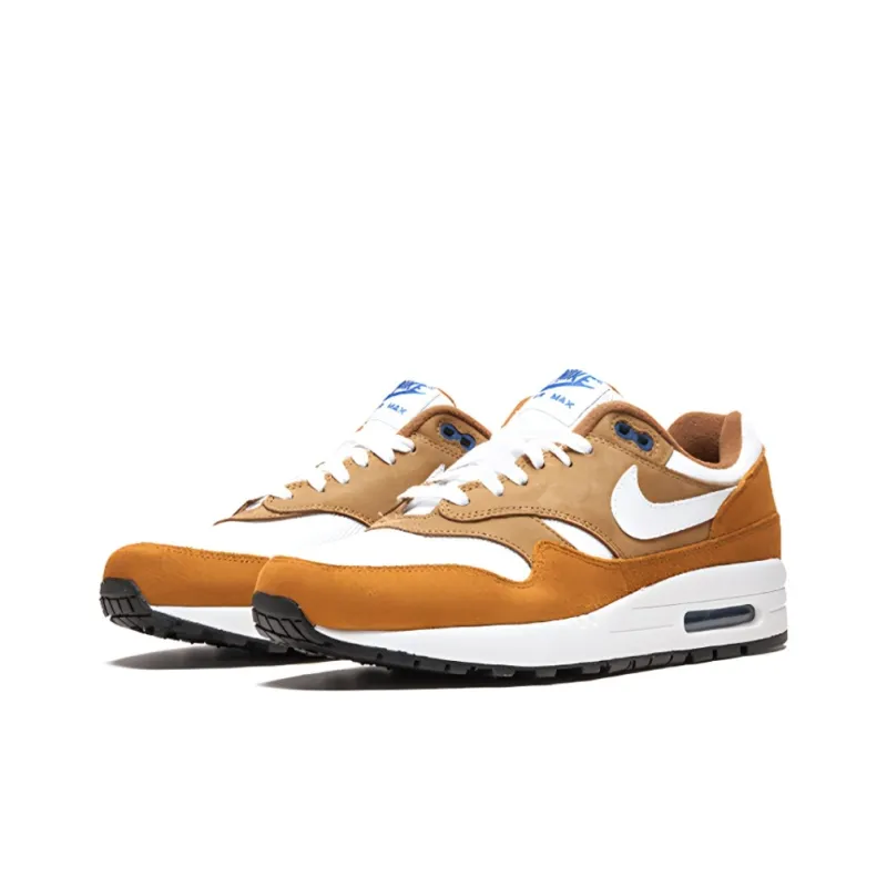 Nike Air Max 1 Curry 2018-1