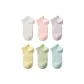 6 Pack (Raw White+Cherry Blossom Pink+Purple+Primulin+Matcha Green+Mist Blue)