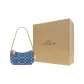 Bag+Dust Bag+Yellow Box
