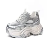 Gray Silver