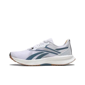 Floatride Energy 5 Reebok 'Steely Blue'
