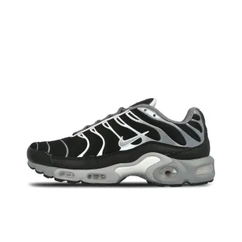Nike Air Max Plus Cool Grey Wolf Grey