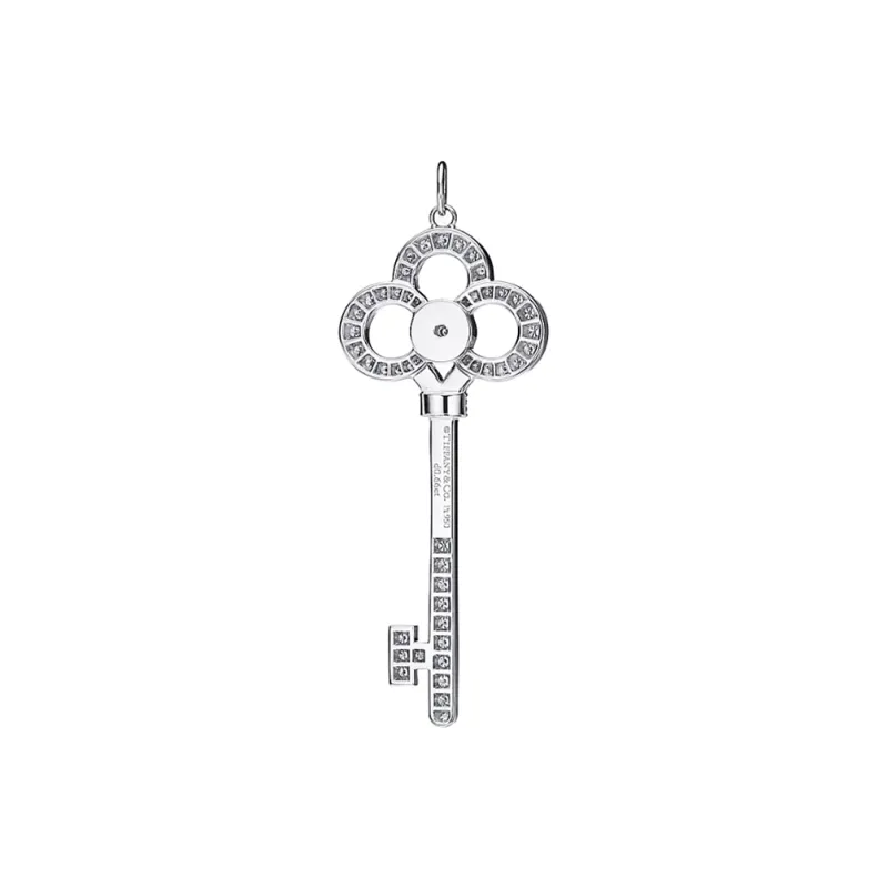 TIFFANY & CO. Platinum Diamond Pendants Unisex Silver-1