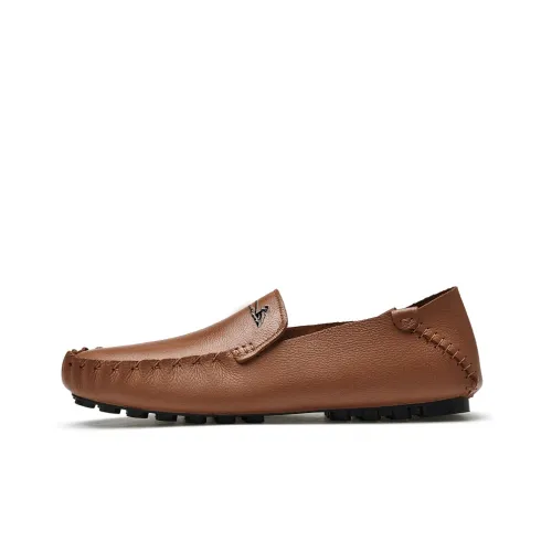 British knights Gommino Loafers Men Brown