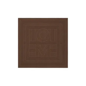 TOTEME Silk Scarves Unisex