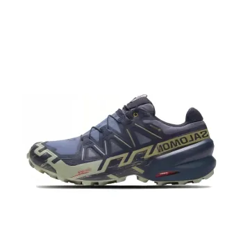 Speedcross 6 SALOMON GORE TEX 'Grisaille Tea'