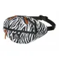Zebra Print