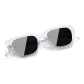 Transparent Frame with Gray Lens