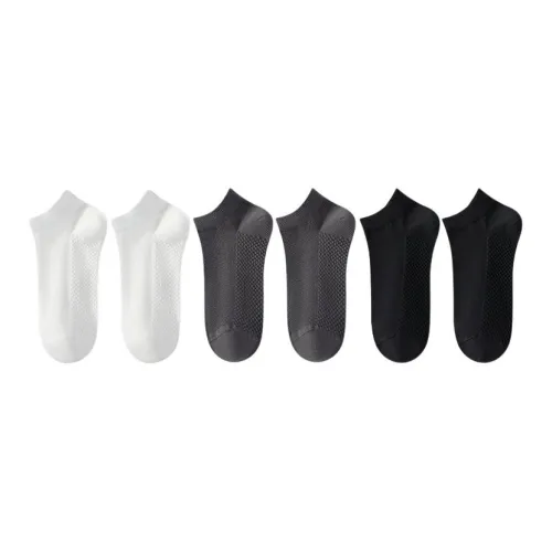 Master Mid Calf Socks Womens Box 5 Pack