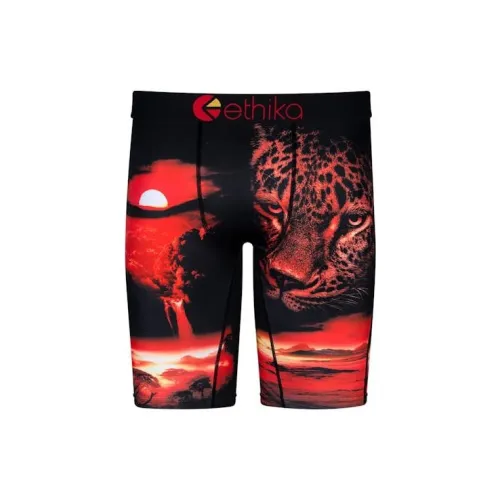 ETHIKA Dark Hunting Underpants Men's 1 Pack Multicolor