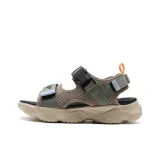 Honey Tea Brown/Fir Green