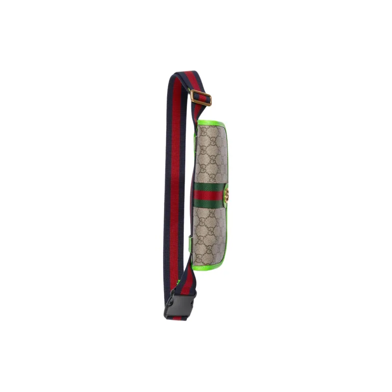 GUCCI Ophidia Fanny Packs-5