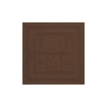 TOTEME Silk Scarves Women's Brown