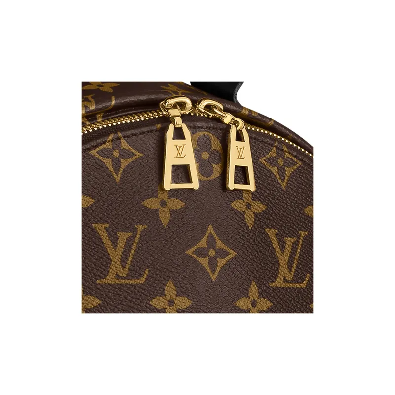 LOUIS VUITTON Palm Springs Monogram Updated Zipper Mm-5