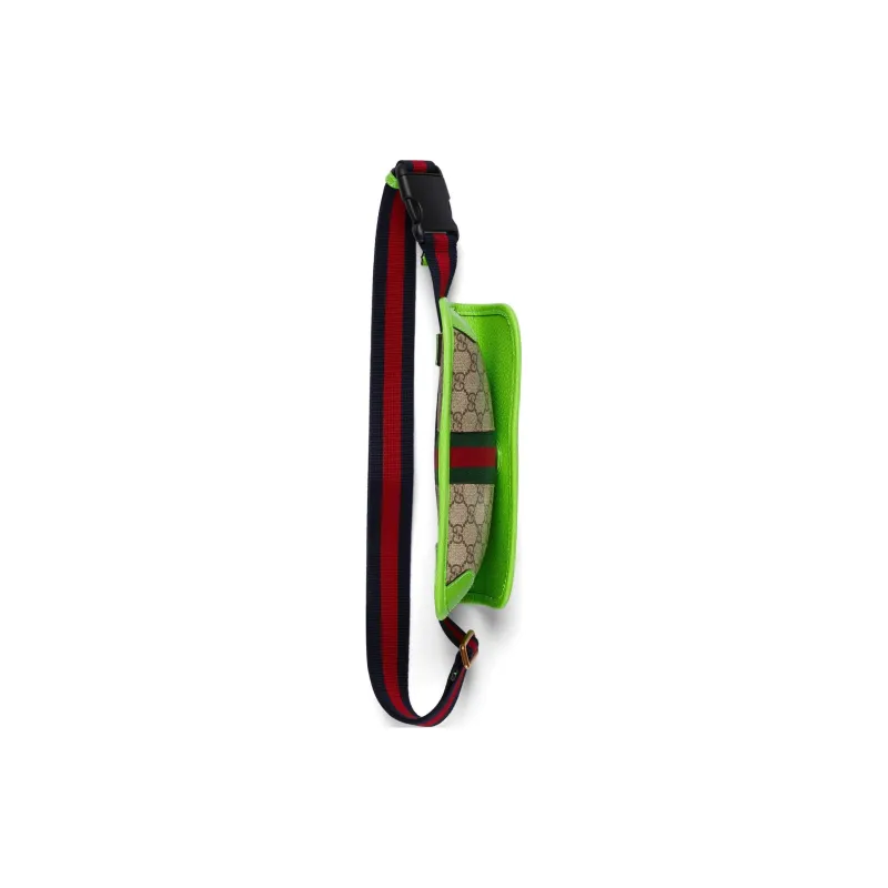 GUCCI Ophidia Fanny Packs-4