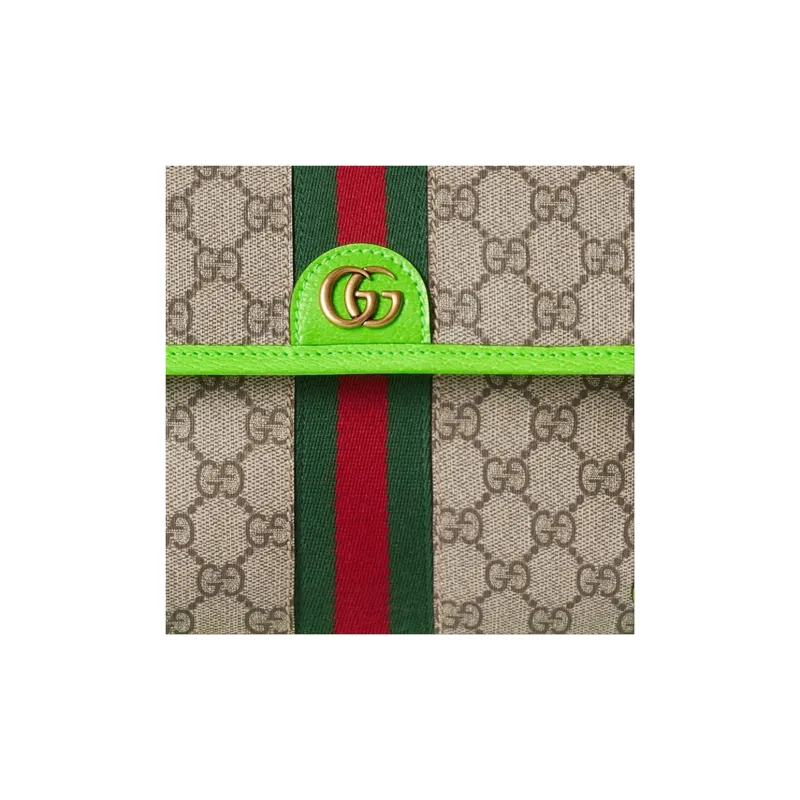 GUCCI Ophidia Fanny Packs-7
