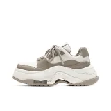 Light Gray