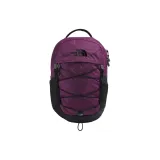 Blackcurrant Purple