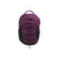 Blackcurrant Purple