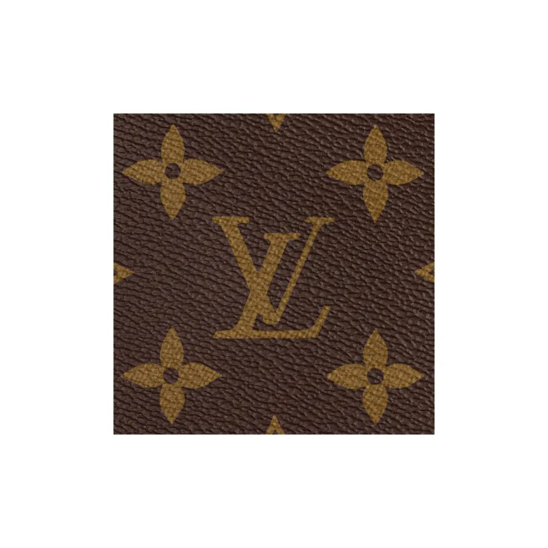 LOUIS VUITTON Palm Springs Monogram Updated Zipper Mm-6